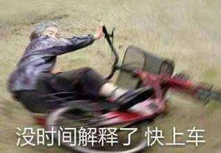 求生之路表情包龟岛