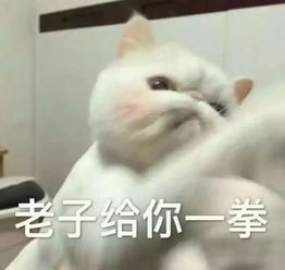 我经历了一次真实的舔颜