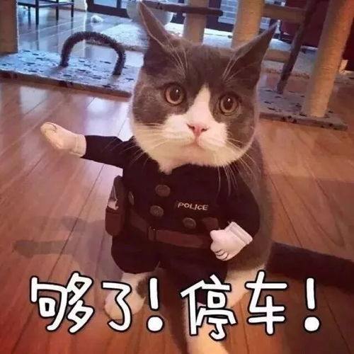 4月最新电影清单除了,还有哪些烂片