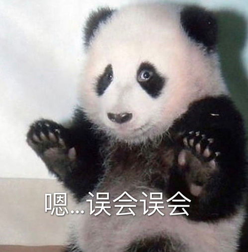 沙雕表情包l哥哥你逃不掉了