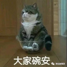 你的脸不用化妆,我却疯狂的爱上异性