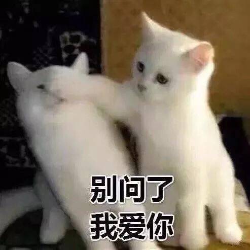 表情包