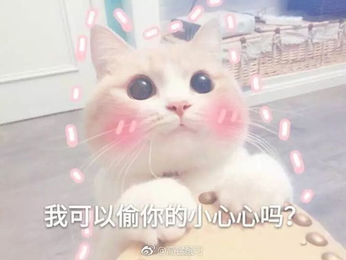 新生攻略走过南京走过你,最实用出行攻略快来get拷贝