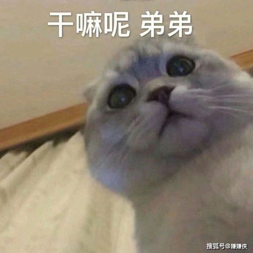 热门表情包图片最酷的开黑,我一个打五个