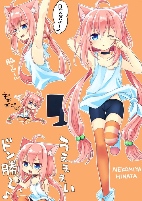 白嫖来的表情包第四期内含猫老大美图