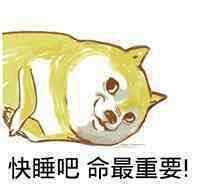 睡觉吧狗命要重要表情包睡觉吧狗命要紧表情包下载飞翔下载