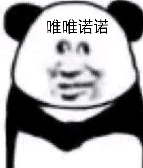 闪烁之光传新版本