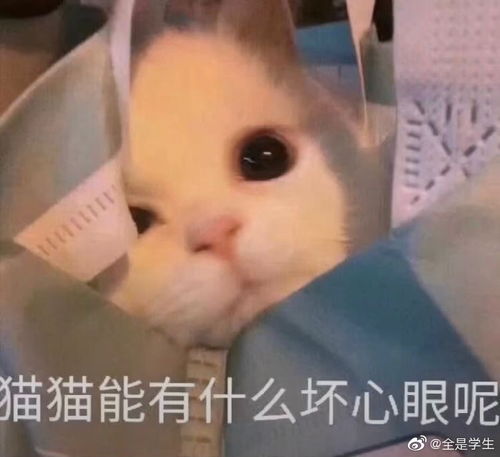 好价粉底液,阿玛尼唇釉,另外想问问有啥好...