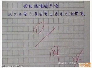 有哪些表情包高考作文