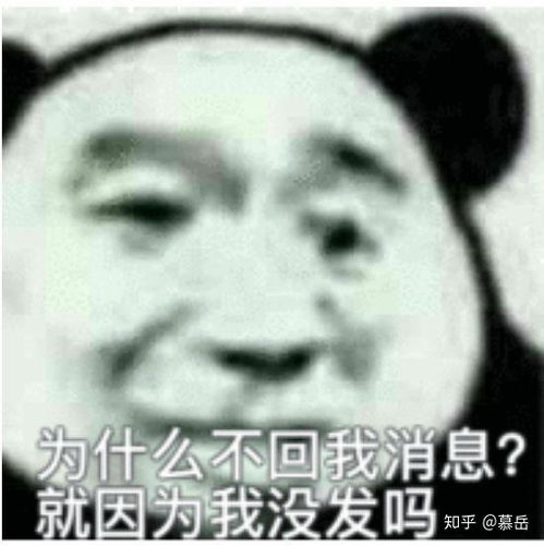 靓女用的表情包