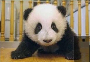 笑话图片笑话图片大全爆笑笑话图片别逗了