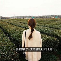 求好看的壁纸,不要花,最好唯美点
