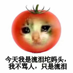 铜板儿的声线展示非asmr注意音量