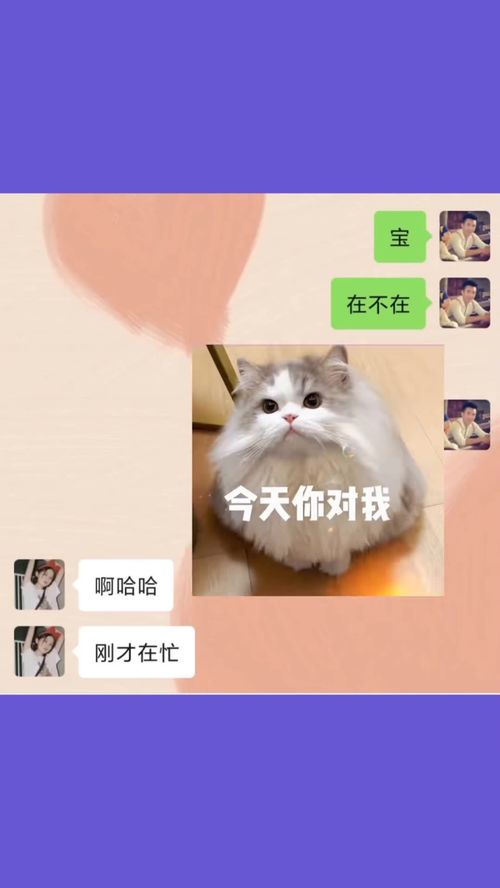 动态表情包艾特你想艾特的人