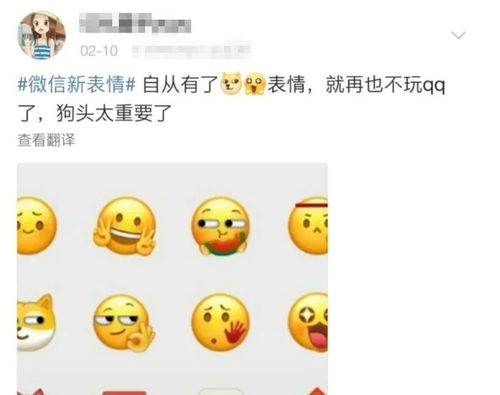 手机qq推出全新表情,菜狗亮了