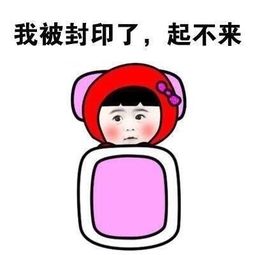 cozysteps,你的冬日小太阳