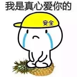 表情包老婆大人,我知道错了