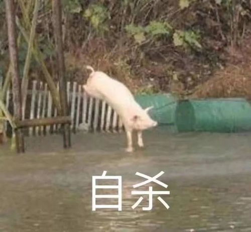 为啥子女娃儿总是减肥失败这个回答我服