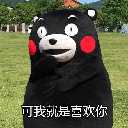 520喜欢你,我也是