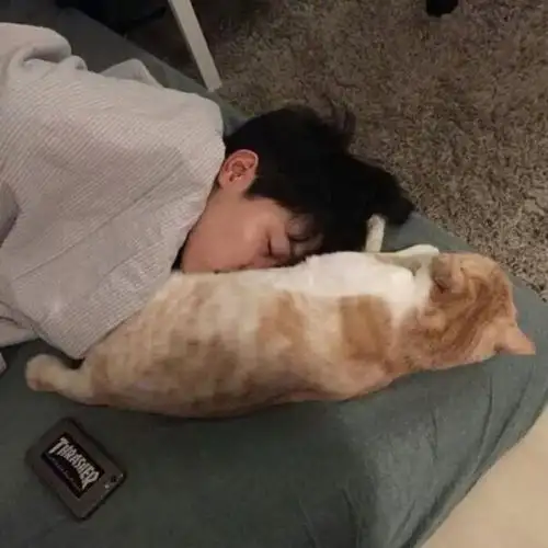 高冷帅气的男生头像你让我心动了请负责到底