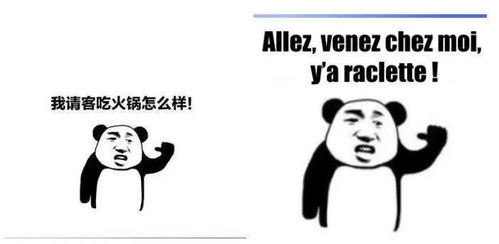 聊天尬住不如回复一个法语表情包