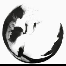 成员站务管理站酷讨论组站酷网zcool