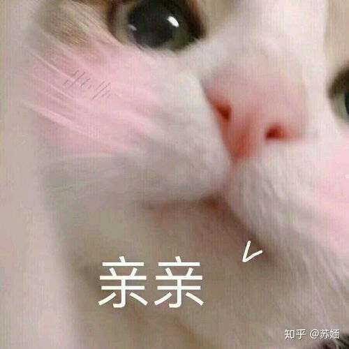 女生发爱你的表情包,是什么意思