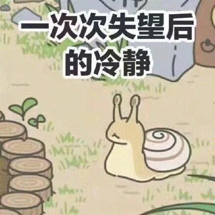 蛙蛙蛙最hit青蛙旅行家,佛系说明书来啦