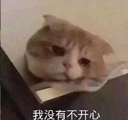 你没读懂的庖丁解牛,其实是当代社畜的处世圣经