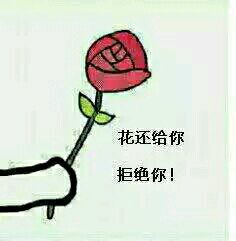 呐这朵花给你表情包