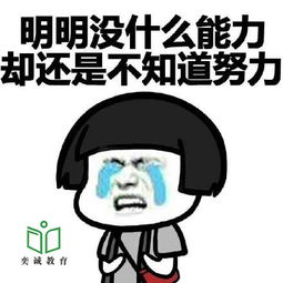武昌理工学院会计学备考指南专升本的你一定要看