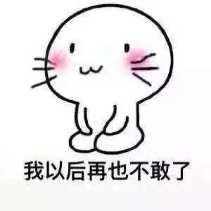 老公老婆表情包