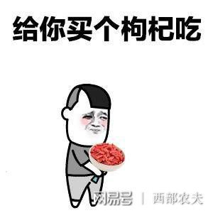 红枸杞在左,黑枸杞在右