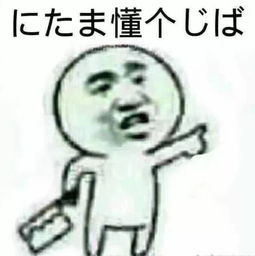 选专业时脑子进的水到如今的表情包,简直很生动形象了