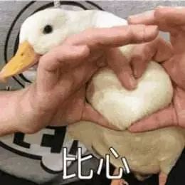 逐梦三下乡你的电影,我来讲
