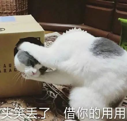 出门回来发现榴莲小了一圈,妈妈说是因为天气太热化掉了