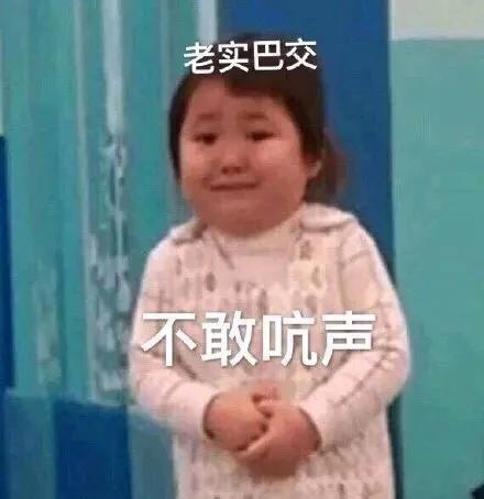 老实巴交表情包