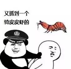皮皮虾突然爆红想知道攻占你朋友圈的是哪一只......