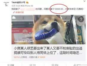 郑爽作了半年,最大的功劳是让粉丝喜欢上了娜扎