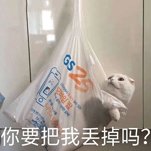 斗图必备的聊天表情包