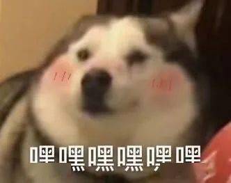 前台只要负责美丽动人就够了么