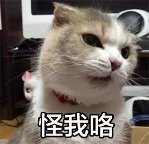 你女票吃你家瞄星人的醋是一种怎样的体验