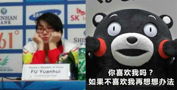 火与冰pk看傅园慧表情包大战张式冷漠