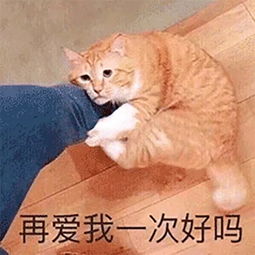 撒娇专用表情包咬你,大坏蛋