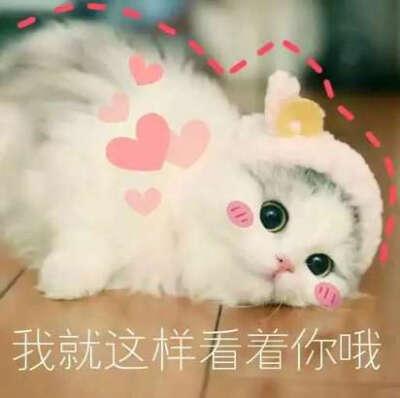 同是格力空调,该买哪个系列好呢