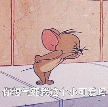 小可爱的表情包合集你说我小可爱,是不是喜欢我啊