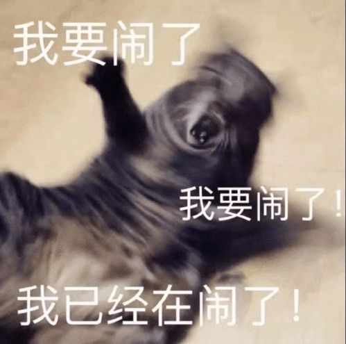 紧急通知广东这所高校国庆只放3天