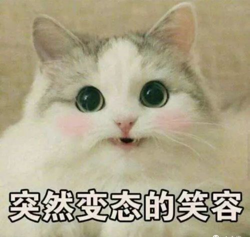 2018年恭喜发财,大吉大利