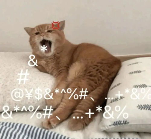 表情包我受够这鬼热的天气了