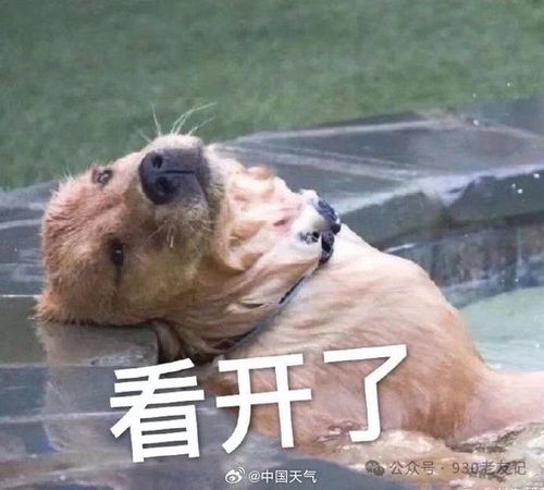最低将只有8冷空气已开始进入广西